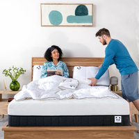 Panda Hybrid Bamboo Mattress Pro