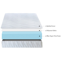 Rock Hard 10 Super Firm Foam Mattress