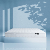 Jay-Be 1000 TrueCore e-Pocket Mattress