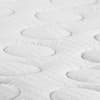 Capsule Rollup Memory Foam Mattress