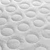 Capsule Reflex Foam Rollup Mattress