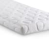 Capsule Reflex Foam Rollup Mattress