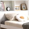 Easton White Wooden Bookcase Bed