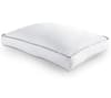 Box Support Pillows 2-Pack