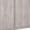 Jupiter Grey Oak 2 Door Wardrobe
