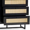 Padstow Black Rattan 6 Drawer Wooden Chest