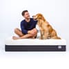 Panda Hybrid Bamboo Mattress Pro