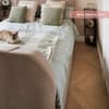 Sherlock Warm Stone Velvet Ottoman Electric Media TV Bed