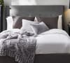 Shoreditch Grey Velvet Fabric Bed