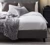 Shoreditch Grey Velvet Fabric Bed