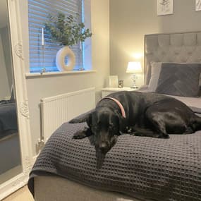 @littlehanburyhome_x