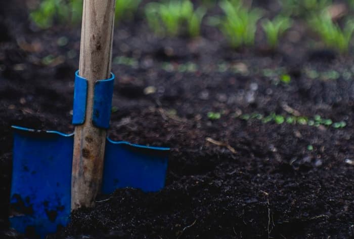 Gardening Shovel In Soil