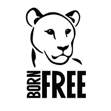 Donation To Born Free