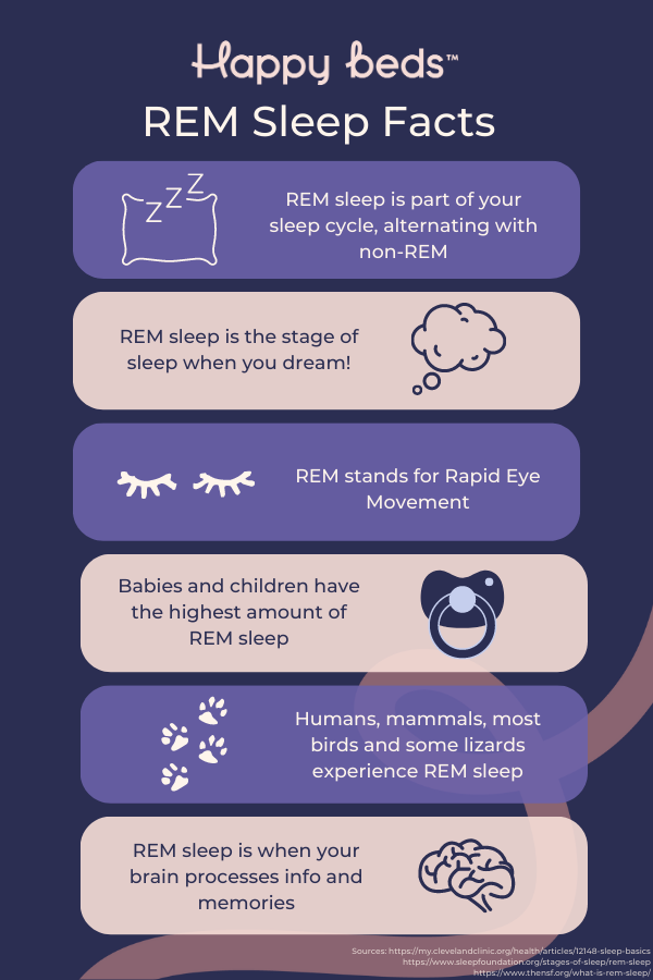 REM sleep infographic
