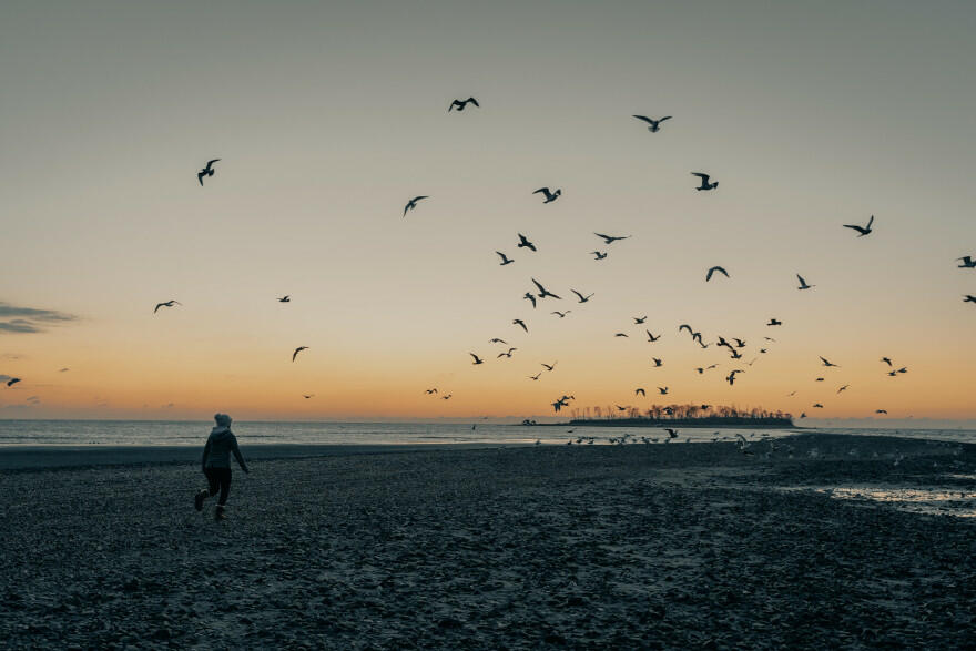 Woman chasing birds