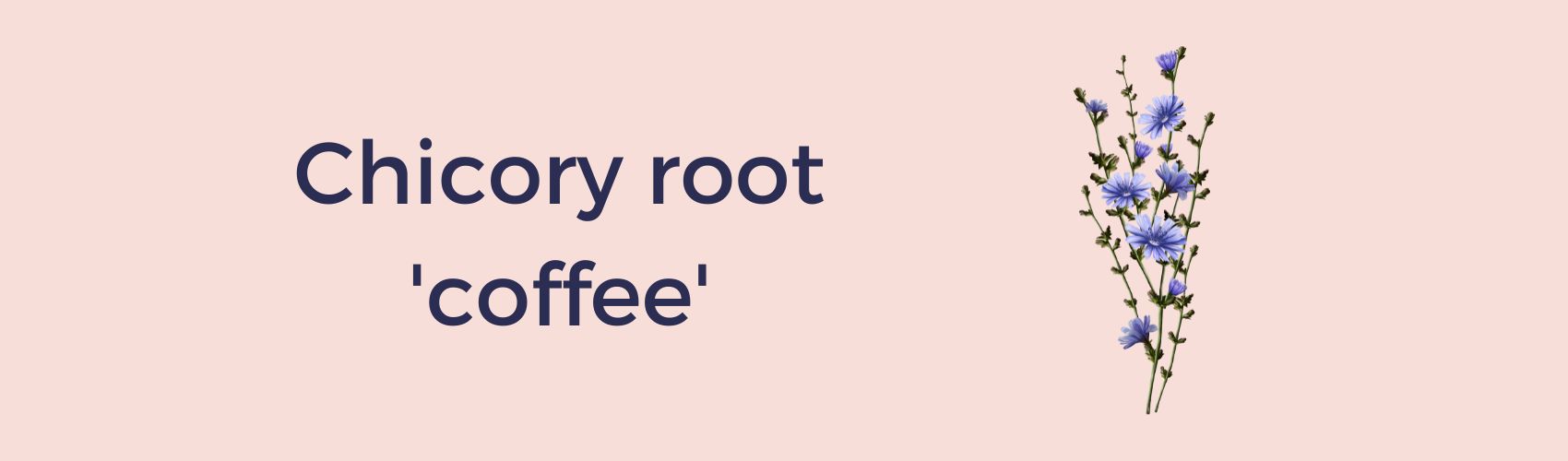 Chicory root coffee